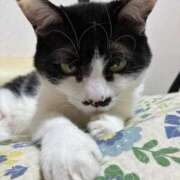 ヒメ日記 2026/02/03 12:27 投稿 ゆうき 小岩人妻花壇