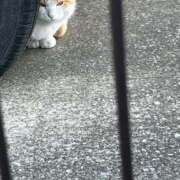 ヒメ日記 2026/02/10 09:28 投稿 ゆうき 小岩人妻花壇