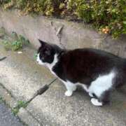 ヒメ日記 2026/03/06 15:33 投稿 ゆうき 小岩人妻花壇