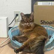 ヒメ日記 2026/03/11 09:56 投稿 ゆうき 小岩人妻花壇