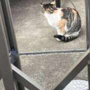 ヒメ日記 2026/03/12 17:09 投稿 ゆうき 小岩人妻花壇