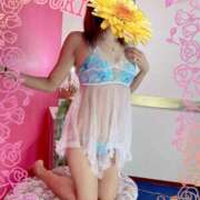 ヒメ日記 2026/04/07 16:38 投稿 ゆうき 小岩人妻花壇