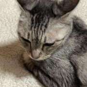 ヒメ日記 2024/12/21 20:32 投稿 みう 北九州人妻倶楽部（三十路、四十路、五十路）