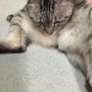 ヒメ日記 2024/12/27 18:15 投稿 みう 北九州人妻倶楽部（三十路、四十路、五十路）