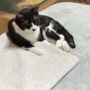 ヒメ日記 2024/12/28 18:06 投稿 みう 北九州人妻倶楽部（三十路、四十路、五十路）