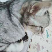 ヒメ日記 2025/01/05 22:18 投稿 みう 北九州人妻倶楽部（三十路、四十路、五十路）