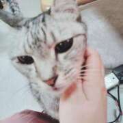 ヒメ日記 2025/01/17 22:18 投稿 みう 北九州人妻倶楽部（三十路、四十路、五十路）