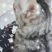 ヒメ日記 2025/01/22 19:14 投稿 みう 北九州人妻倶楽部（三十路、四十路、五十路）