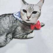 ヒメ日記 2025/01/25 20:06 投稿 みう 北九州人妻倶楽部（三十路、四十路、五十路）