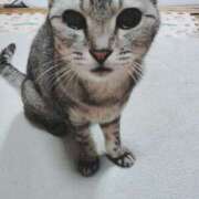 ヒメ日記 2025/02/03 11:33 投稿 みう 北九州人妻倶楽部（三十路、四十路、五十路）