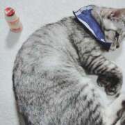 ヒメ日記 2025/02/16 18:59 投稿 みう 北九州人妻倶楽部（三十路、四十路、五十路）