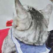 ヒメ日記 2025/02/21 20:33 投稿 みう 北九州人妻倶楽部（三十路、四十路、五十路）