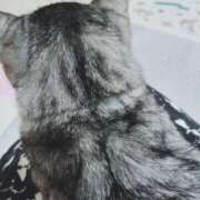 ヒメ日記 2025/02/25 20:55 投稿 みう 北九州人妻倶楽部（三十路、四十路、五十路）