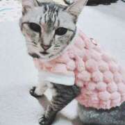 ヒメ日記 2025/03/05 22:21 投稿 みう 北九州人妻倶楽部（三十路、四十路、五十路）