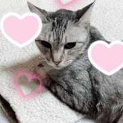 ヒメ日記 2025/03/06 20:11 投稿 みう 北九州人妻倶楽部（三十路、四十路、五十路）