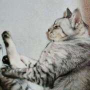 ヒメ日記 2025/03/08 21:35 投稿 みう 北九州人妻倶楽部（三十路、四十路、五十路）