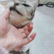 ヒメ日記 2025/03/09 20:42 投稿 みう 北九州人妻倶楽部（三十路、四十路、五十路）