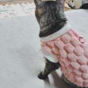 ヒメ日記 2025/03/10 14:28 投稿 みう 北九州人妻倶楽部（三十路、四十路、五十路）