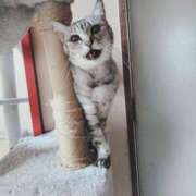 ヒメ日記 2025/03/12 20:09 投稿 みう 北九州人妻倶楽部（三十路、四十路、五十路）