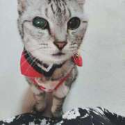 ヒメ日記 2025/03/14 00:06 投稿 みう 北九州人妻倶楽部（三十路、四十路、五十路）