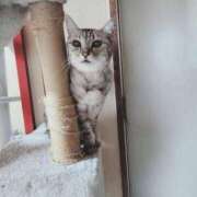 ヒメ日記 2025/03/17 20:03 投稿 みう 北九州人妻倶楽部（三十路、四十路、五十路）