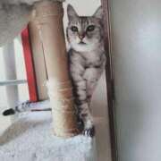 ヒメ日記 2025/03/18 19:56 投稿 みう 北九州人妻倶楽部（三十路、四十路、五十路）