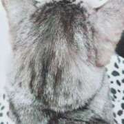 ヒメ日記 2025/03/18 22:00 投稿 みう 北九州人妻倶楽部（三十路、四十路、五十路）