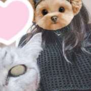 ヒメ日記 2025/03/27 18:15 投稿 みう 北九州人妻倶楽部（三十路、四十路、五十路）