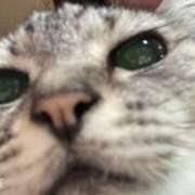 ヒメ日記 2025/04/01 05:50 投稿 みう 北九州人妻倶楽部（三十路、四十路、五十路）