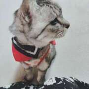 ヒメ日記 2025/04/08 22:06 投稿 みう 北九州人妻倶楽部（三十路、四十路、五十路）