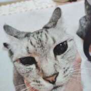 ヒメ日記 2025/04/16 23:13 投稿 みう 北九州人妻倶楽部（三十路、四十路、五十路）