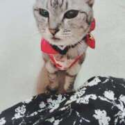 ヒメ日記 2025/04/21 14:14 投稿 みう 北九州人妻倶楽部（三十路、四十路、五十路）