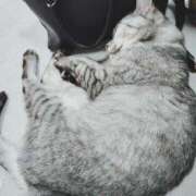 ヒメ日記 2025/04/21 17:40 投稿 みう 北九州人妻倶楽部（三十路、四十路、五十路）