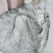 ヒメ日記 2025/04/21 20:38 投稿 みう 北九州人妻倶楽部（三十路、四十路、五十路）