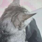 ヒメ日記 2025/04/25 22:32 投稿 みう 北九州人妻倶楽部（三十路、四十路、五十路）