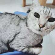 ヒメ日記 2025/05/02 00:15 投稿 みう 北九州人妻倶楽部（三十路、四十路、五十路）