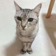 ヒメ日記 2025/05/02 21:16 投稿 みう 北九州人妻倶楽部（三十路、四十路、五十路）