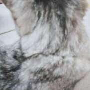 ヒメ日記 2025/05/07 21:14 投稿 みう 北九州人妻倶楽部（三十路、四十路、五十路）