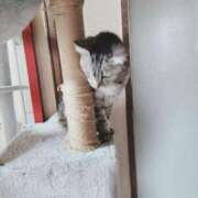 ヒメ日記 2025/05/15 21:15 投稿 みう 北九州人妻倶楽部（三十路、四十路、五十路）