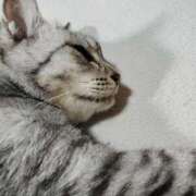 ヒメ日記 2025/06/03 11:27 投稿 みう 北九州人妻倶楽部（三十路、四十路、五十路）