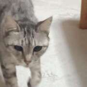 ヒメ日記 2025/06/06 18:36 投稿 みう 北九州人妻倶楽部（三十路、四十路、五十路）