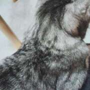 ヒメ日記 2025/06/10 21:51 投稿 みう 北九州人妻倶楽部（三十路、四十路、五十路）