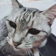 ヒメ日記 2025/06/10 23:41 投稿 みう 北九州人妻倶楽部（三十路、四十路、五十路）