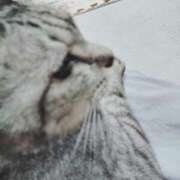 ヒメ日記 2025/07/21 19:48 投稿 みう 北九州人妻倶楽部（三十路、四十路、五十路）