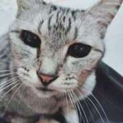 ヒメ日記 2025/07/28 00:48 投稿 みう 北九州人妻倶楽部（三十路、四十路、五十路）