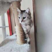 ヒメ日記 2025/08/04 19:57 投稿 みう 北九州人妻倶楽部（三十路、四十路、五十路）