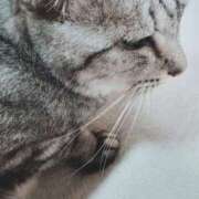 ヒメ日記 2025/08/11 19:47 投稿 みう 北九州人妻倶楽部（三十路、四十路、五十路）