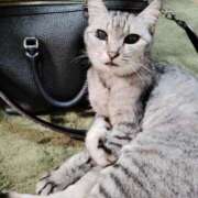 ヒメ日記 2025/08/14 20:50 投稿 みう 北九州人妻倶楽部（三十路、四十路、五十路）