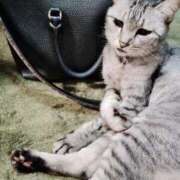 ヒメ日記 2025/08/28 17:36 投稿 みう 北九州人妻倶楽部（三十路、四十路、五十路）