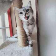 ヒメ日記 2025/09/19 20:05 投稿 みう 北九州人妻倶楽部（三十路、四十路、五十路）